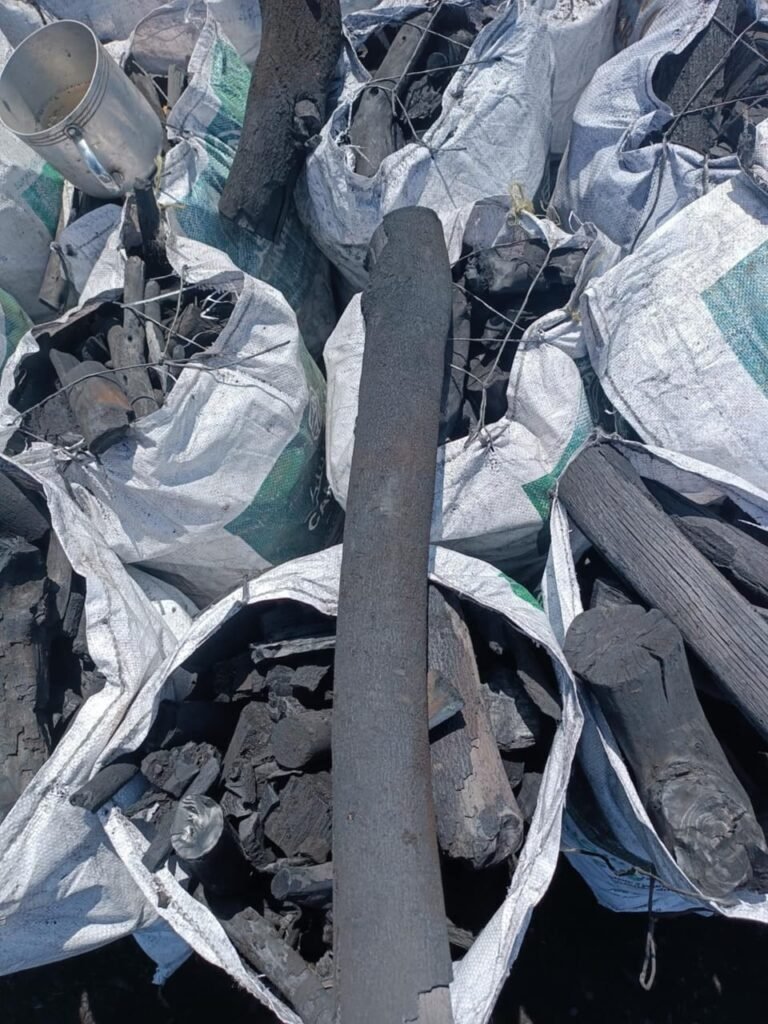 فحم الجزورين